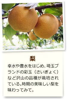 梨 幸水や豊水をはじめ、埼玉ブランド彩玉（さいぎょく）など沢山の品種が栽培されている。時期の美味しい梨を味わってみて。