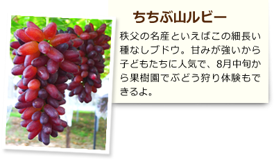 ちちぶ山ルビー 秩父の名産といえばこの細長い種なしブドウ。甘みが強いから子どもたちに人気で、8月中旬から果樹園でぶどう狩り体験もできるよ。