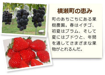 横瀬町の恵み 町のあちこちにある果樹農園。春はイチゴ、初夏はプラム、そして夏にはブドウと、年間を通してさまざまな果物がとれるんだ。