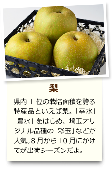 梨 県内1位の栽培面積を誇る特産品といえば梨。「幸水」「豊水」をはじめ、埼玉オリジナル品種の「彩玉」などが人気。8月から10月にかけてが出荷シーズンだよ。
