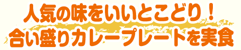 人気の味をいいとこどり！合い盛りカレープレートを実食