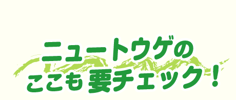 ニュートウゲの ここも要チェック！